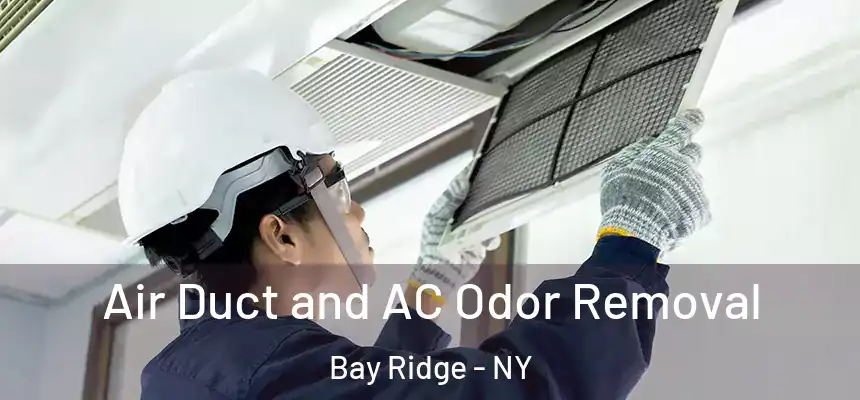  Air Duct and AC Odor Removal Bay Ridge - NY
