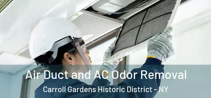 Air Duct and AC Odor Removal Carroll Gardens Historic District - NY