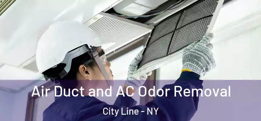 Air Duct and AC Odor Removal City Line - NY