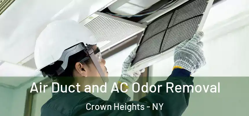 Air Duct and AC Odor Removal Crown Heights - NY