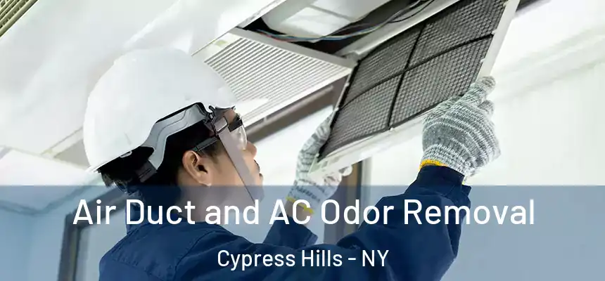 Air Duct and AC Odor Removal Cypress Hills - NY