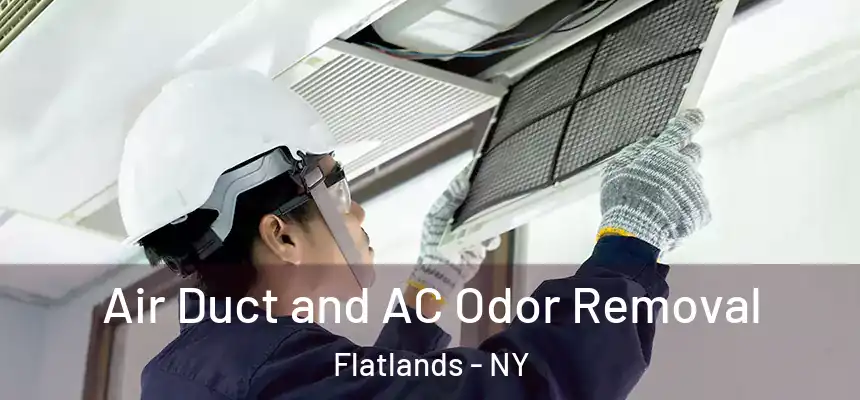  Air Duct and AC Odor Removal Flatlands - NY