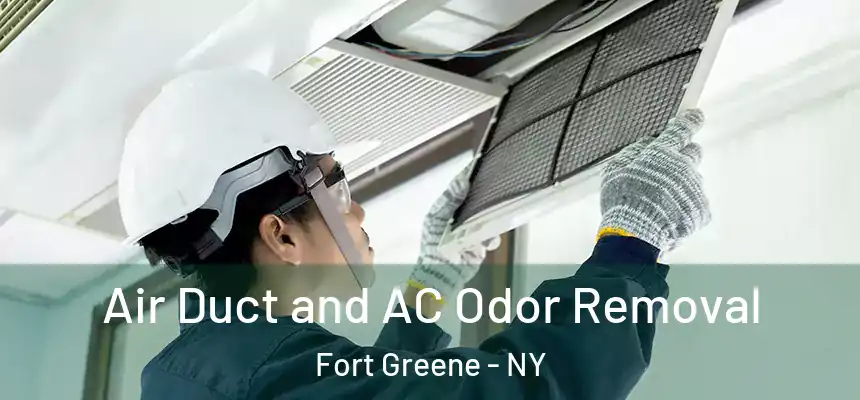 Air Duct and AC Odor Removal Fort Greene - NY
