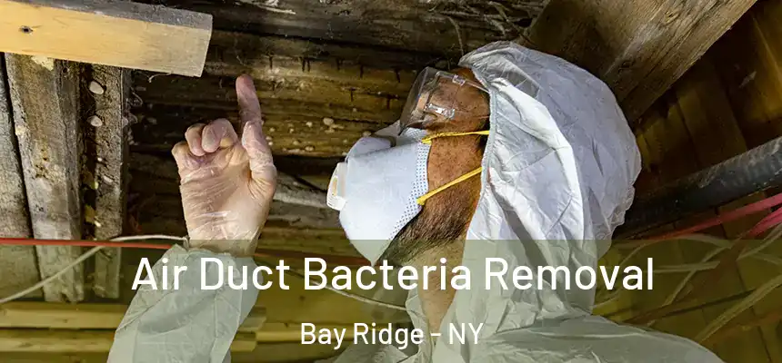 Air Duct Bacteria Removal Bay Ridge - NY