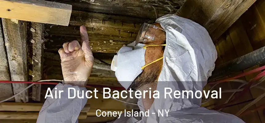 Air Duct Bacteria Removal Coney Island - NY
