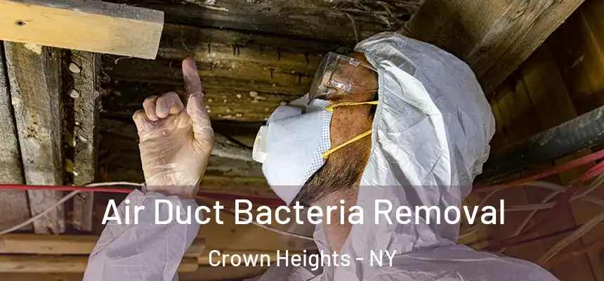 Air Duct Bacteria Removal Crown Heights - NY