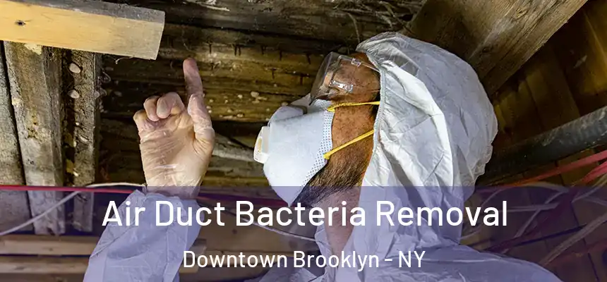 Air Duct Bacteria Removal Downtown Brooklyn - NY