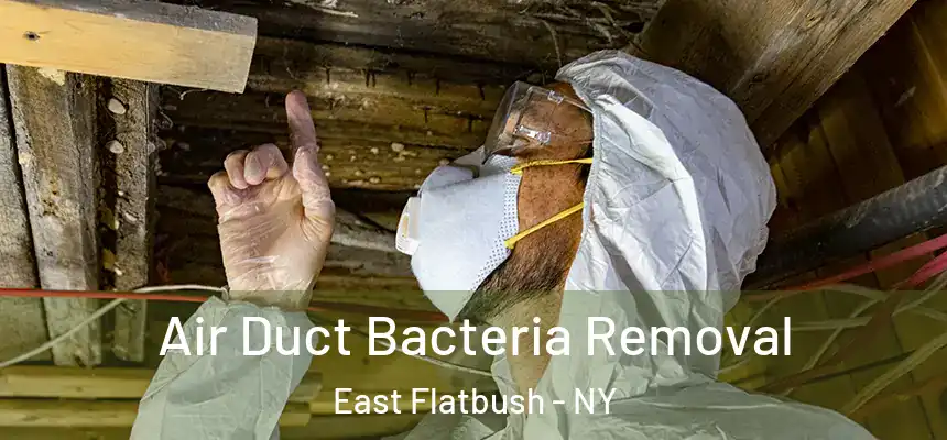 Air Duct Bacteria Removal East Flatbush - NY