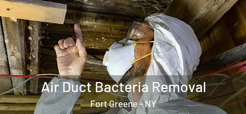 Air Duct Bacteria Removal Fort Greene - NY