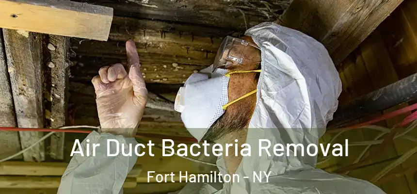  Air Duct Bacteria Removal Fort Hamilton - NY