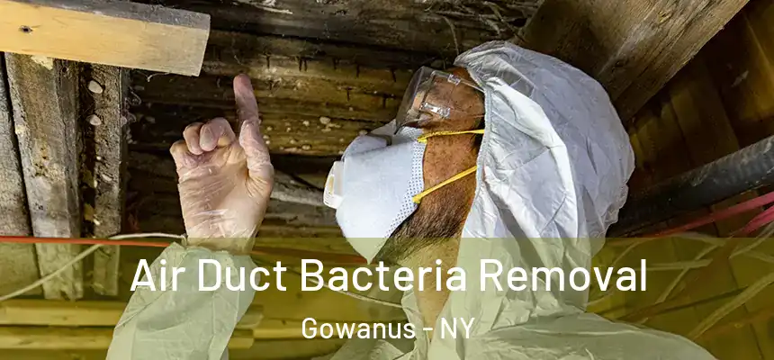 Air Duct Bacteria Removal Gowanus - NY
