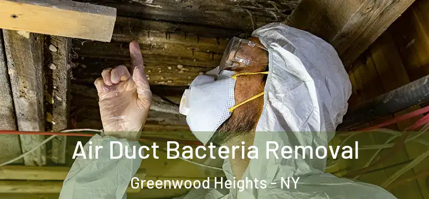 Air Duct Bacteria Removal Greenwood Heights - NY