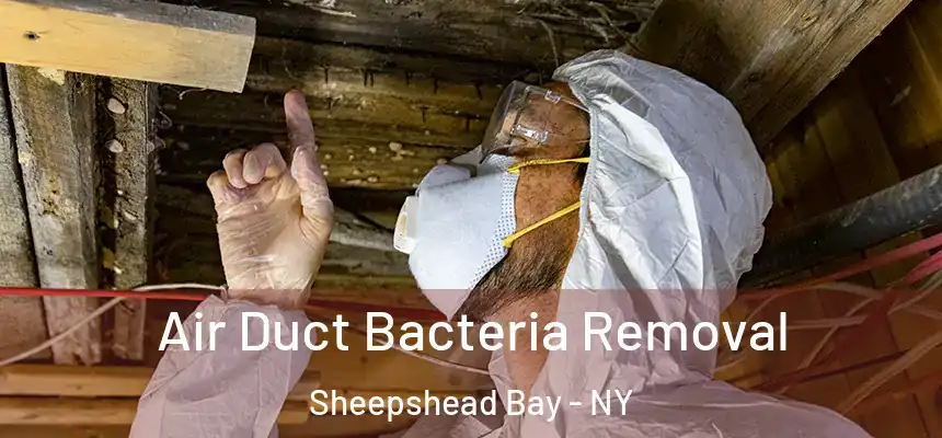  Air Duct Bacteria Removal Sheepshead Bay - NY