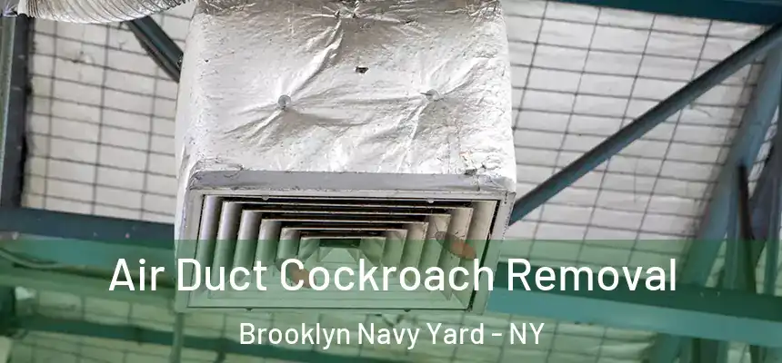  Air Duct Cockroach Removal Brooklyn Navy Yard - NY
