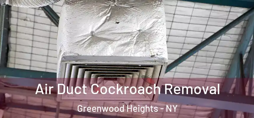 Air Duct Cockroach Removal Greenwood Heights - NY