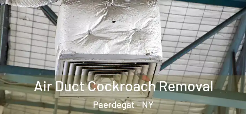 Air Duct Cockroach Removal Paerdegat - NY