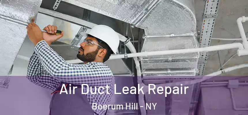  Air Duct Leak Repair Boerum Hill - NY