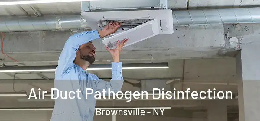 Air Duct Pathogen Disinfection Brownsville - NY