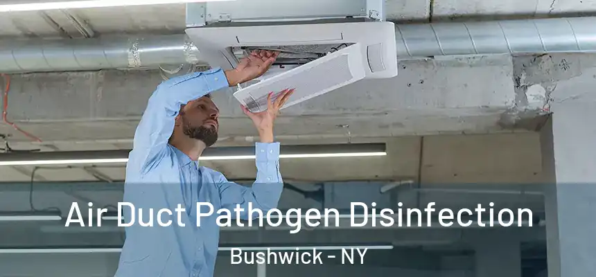 Air Duct Pathogen Disinfection Bushwick - NY