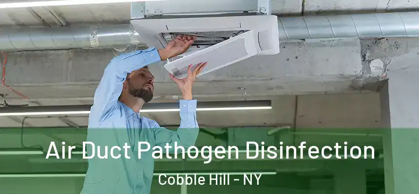 Air Duct Pathogen Disinfection Cobble Hill - NY