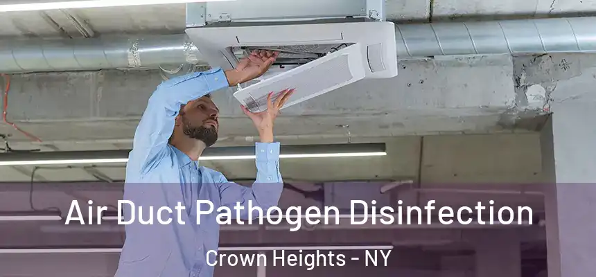 Air Duct Pathogen Disinfection Crown Heights - NY