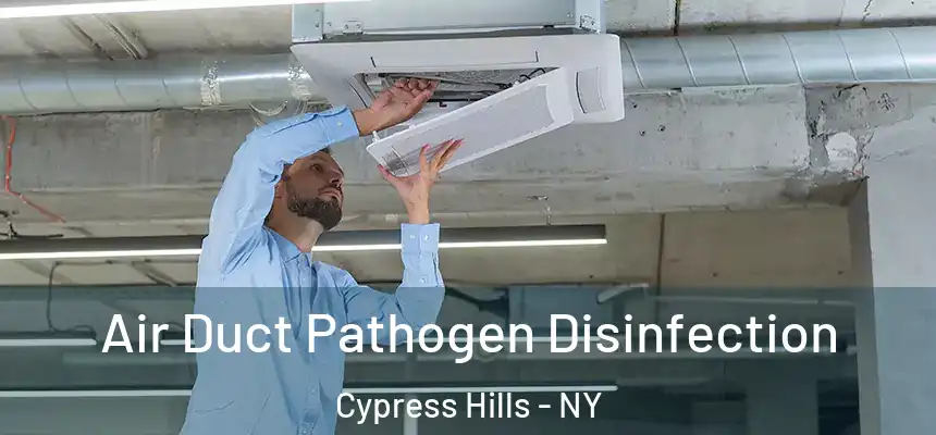 Air Duct Pathogen Disinfection Cypress Hills - NY