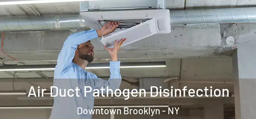 Air Duct Pathogen Disinfection Downtown Brooklyn - NY