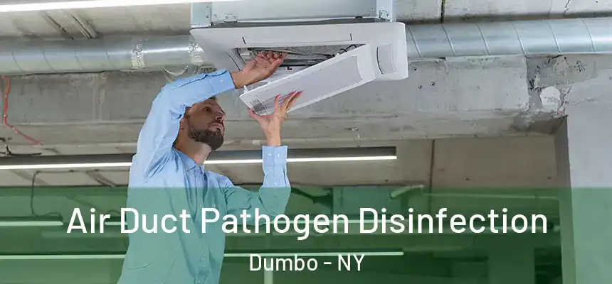 Air Duct Pathogen Disinfection Dumbo - NY