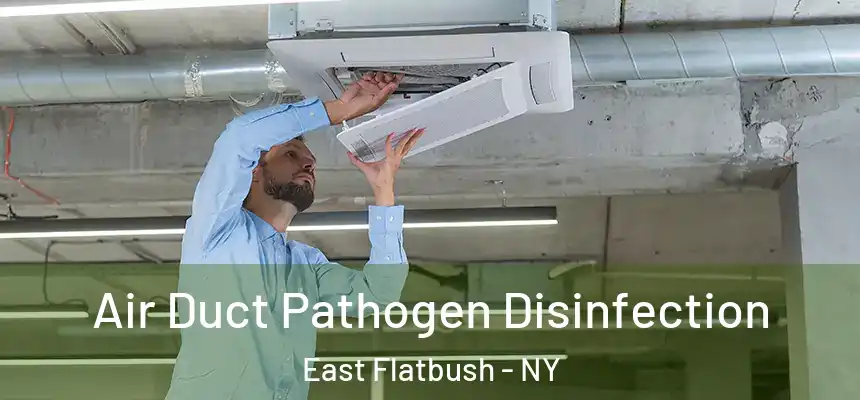 Air Duct Pathogen Disinfection East Flatbush - NY