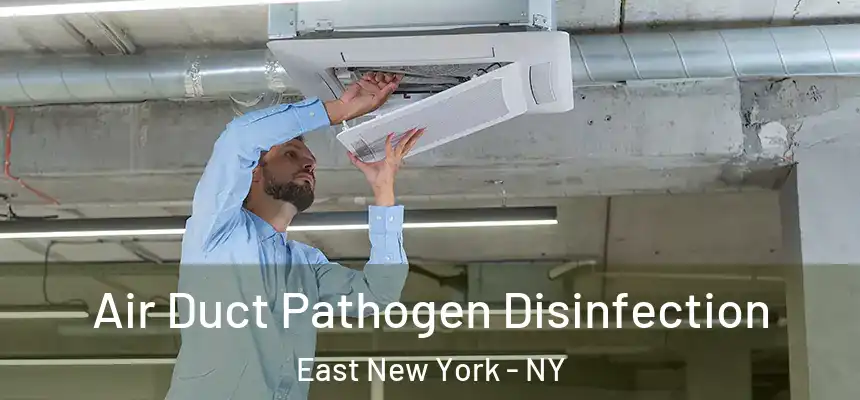 Air Duct Pathogen Disinfection East New York - NY