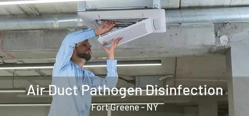 Air Duct Pathogen Disinfection Fort Greene - NY