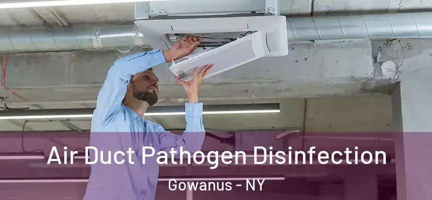 Air Duct Pathogen Disinfection Gowanus - NY