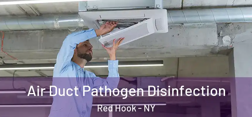 Air Duct Pathogen Disinfection Red Hook - NY