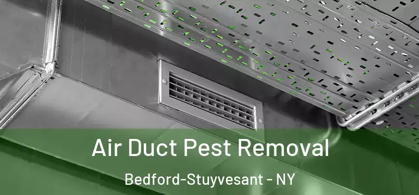 Air Duct Pest Removal Bedford-Stuyvesant - NY