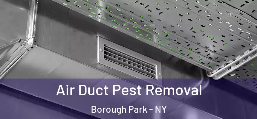 Air Duct Pest Removal Borough Park - NY