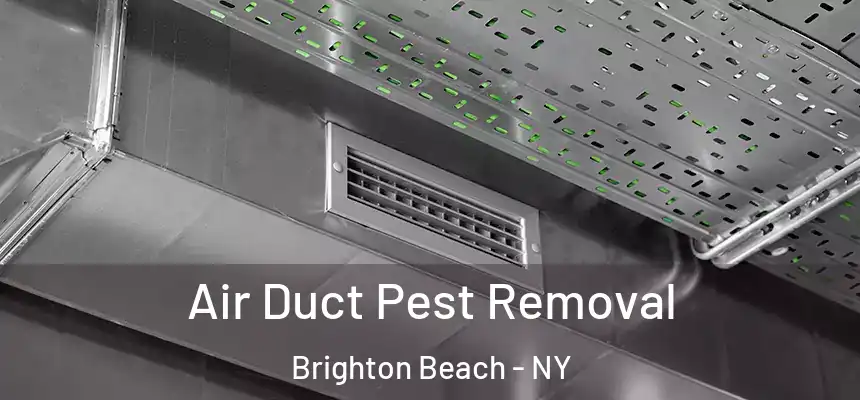 Air Duct Pest Removal Brighton Beach - NY