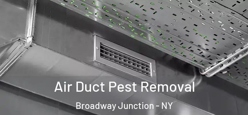 Air Duct Pest Removal Broadway Junction - NY