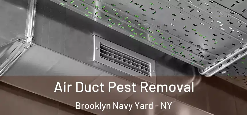 Air Duct Pest Removal Brooklyn Navy Yard - NY