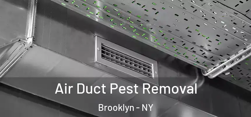 Air Duct Pest Removal Brooklyn - NY