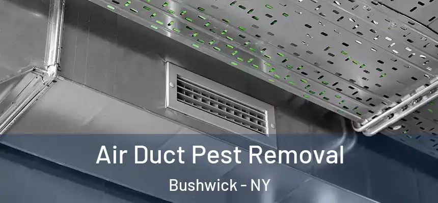Air Duct Pest Removal Bushwick - NY