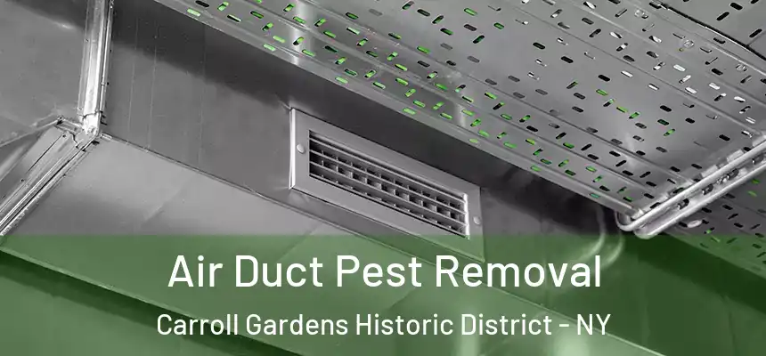 Air Duct Pest Removal Carroll Gardens Historic District - NY