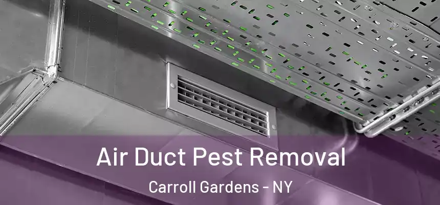 Air Duct Pest Removal Carroll Gardens - NY