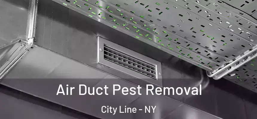 Air Duct Pest Removal City Line - NY