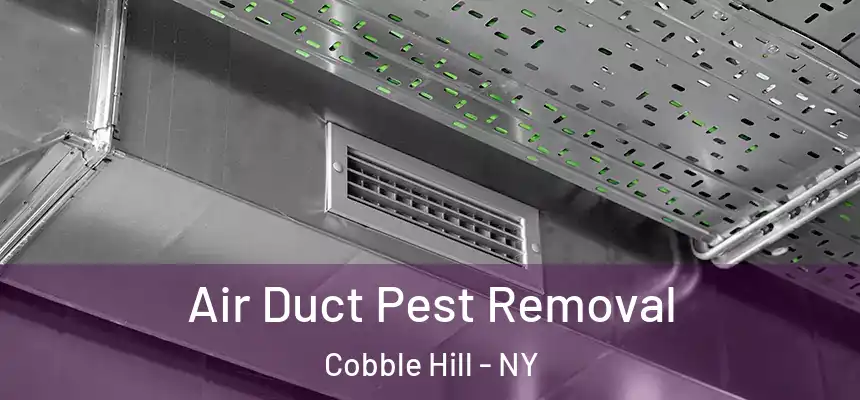 Air Duct Pest Removal Cobble Hill - NY