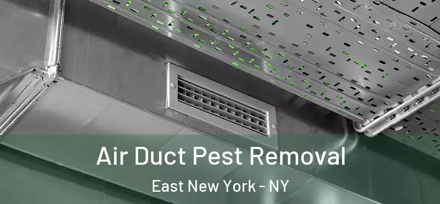 Air Duct Pest Removal East New York - NY