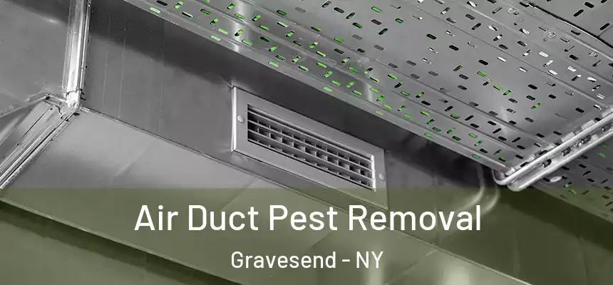 Air Duct Pest Removal Gravesend - NY
