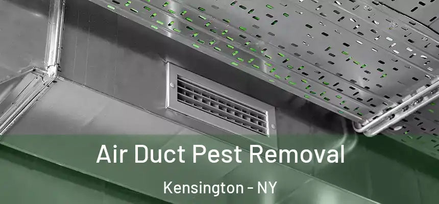Air Duct Pest Removal Kensington - NY