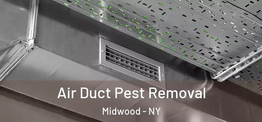 Air Duct Pest Removal Midwood - NY
