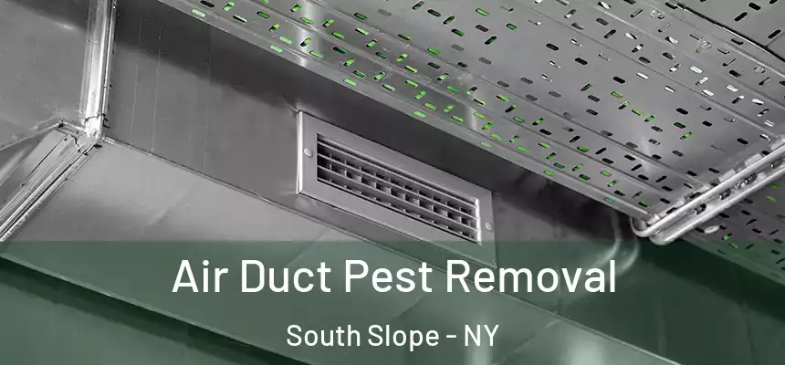 Air Duct Pest Removal South Slope - NY