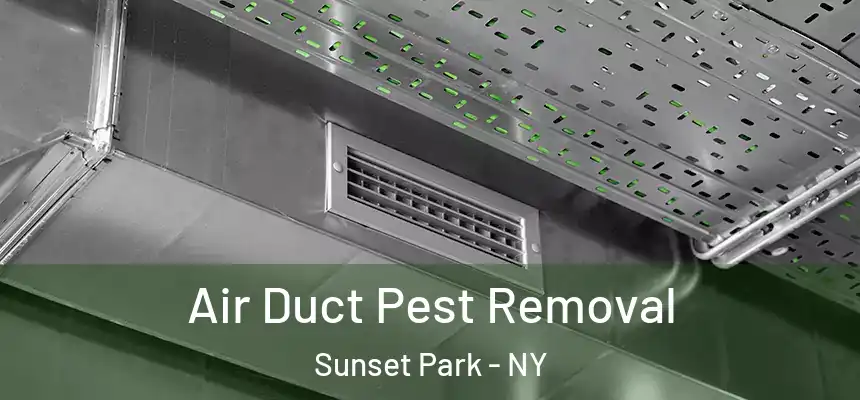 Air Duct Pest Removal Sunset Park - NY